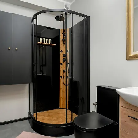 Chelmonskiego Studio With Netflix Near Mtp By Renters * Poznan